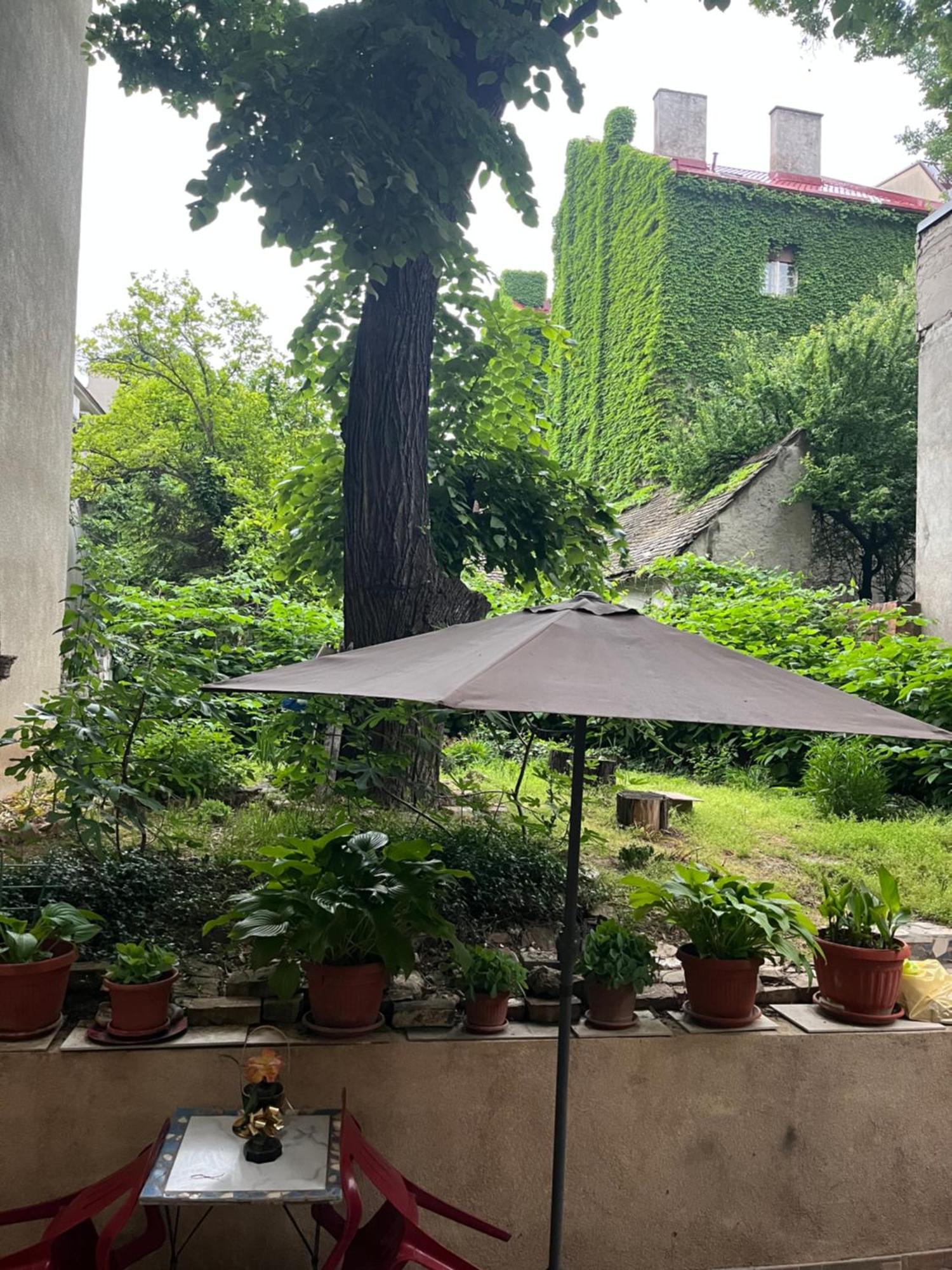 Mosaic Daire Belgrad Dış mekan fotoğraf
